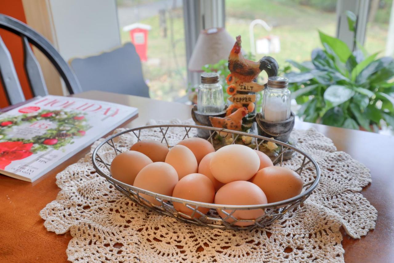 Hammer Creek Hideaway B&B Литиц Екстериор снимка